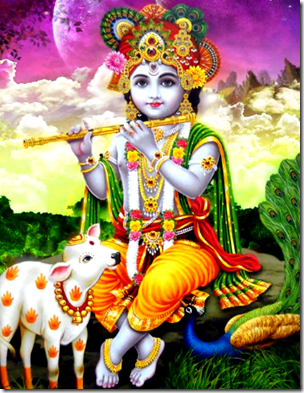 [Lord Krishna]