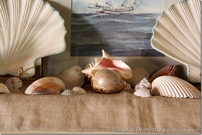 Seashell decor