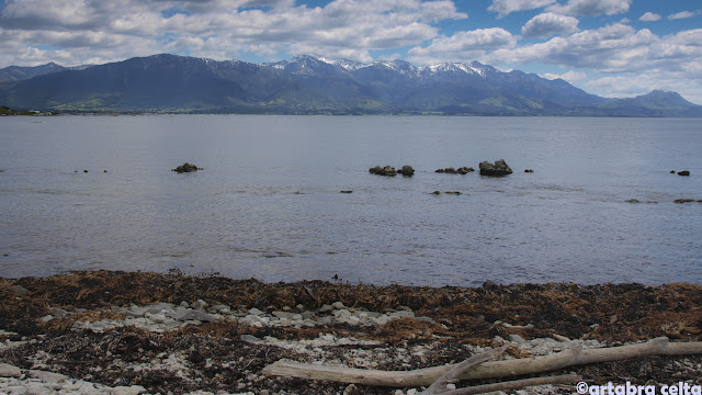 KAIKOURA EN EL ALMA Y EL CORAZÓN - NUEVA ZELANDA EN AUTOCARAVANA. UN VIAJE DE ENSUEÑO (7)