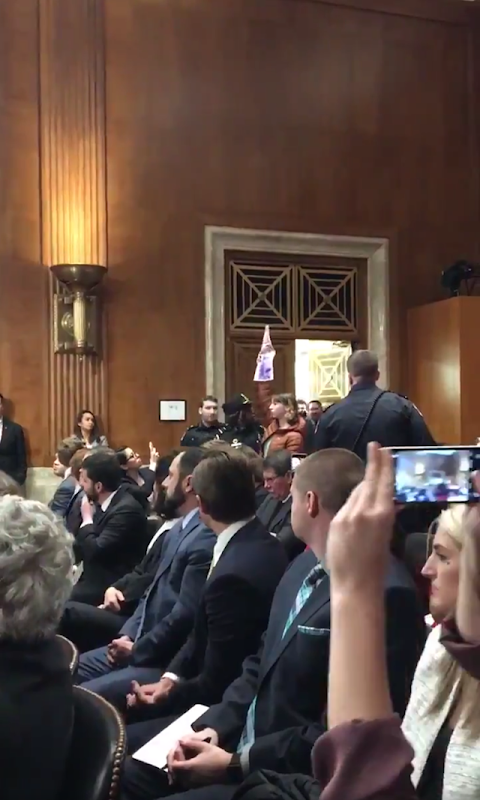 Screenshot of a video showing a protestor standing up to “object” to the Andrew Wheeler EPA hearing during the Trump shutdown, 16 January 2019. People in the hallway chant “shut down Wheeler, not the EPA”. Photo: Stephanie Ebbs / Twitter