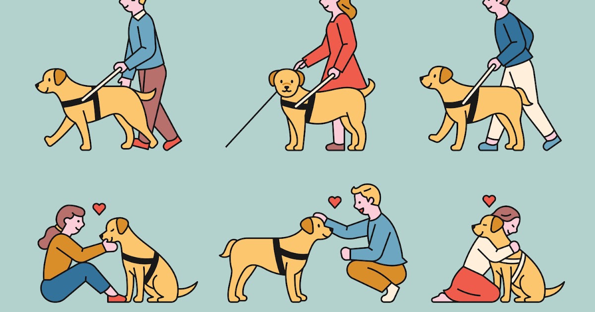 The Kennel Club International Guide Dog Day