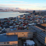 view from the Hallgrímskirkja in Reykjavik, Iceland 