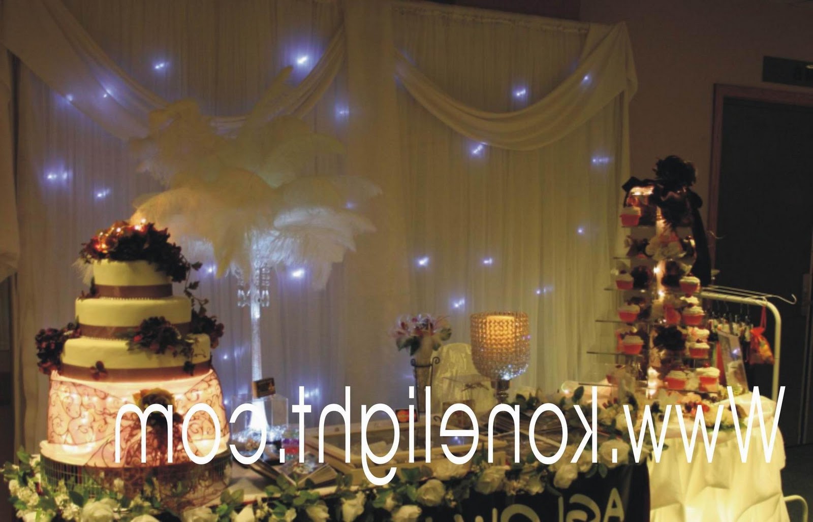 Wedding Decoration Curtain