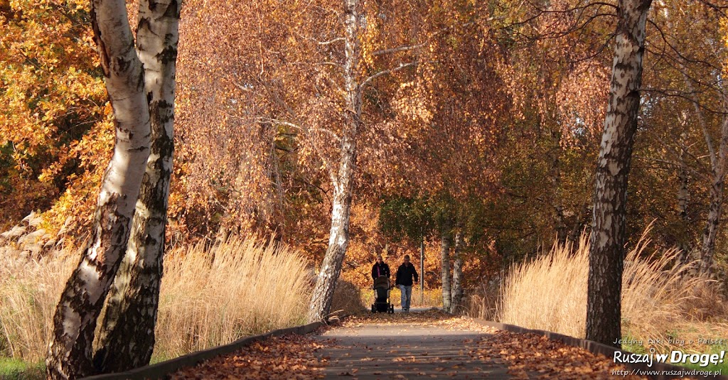 Park Reagana w Gdańsku - jesienne klimaty