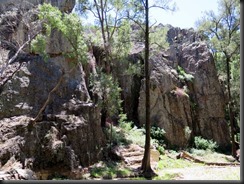 171107 086 Warrumbungles Wambelong Nature Trail