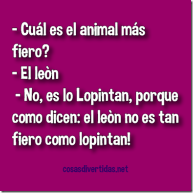 animal mas fiero animal mas fiero