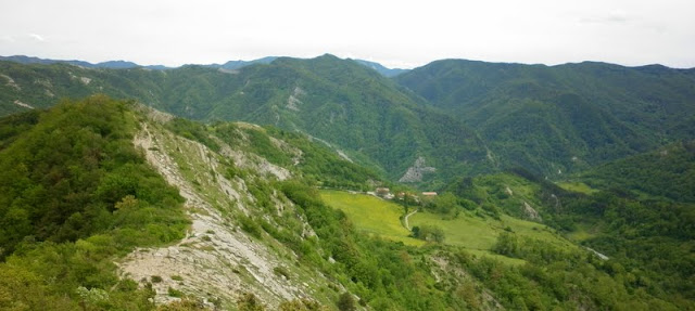 P1000581.JPG