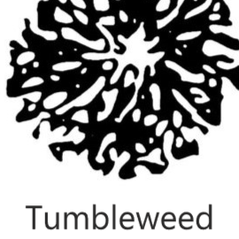 Tumbleweed Custom Picture Framing & Art Gallery logo