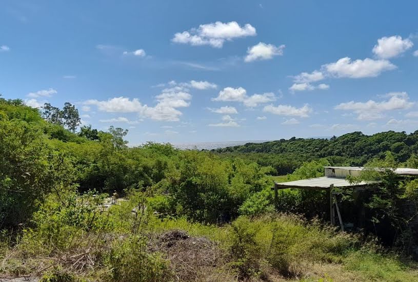  Vente Terrain à bâtir - à Le Gosier (97190) 