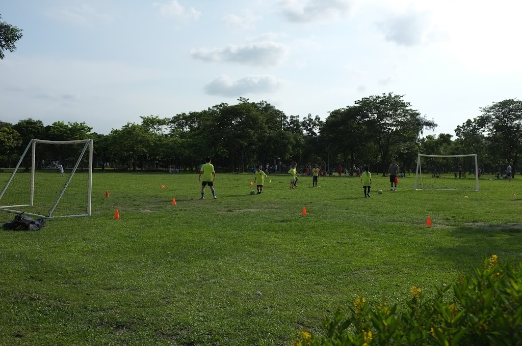 Daan Park in Taipei