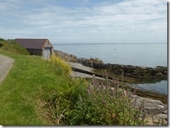 Wales moelfre 042