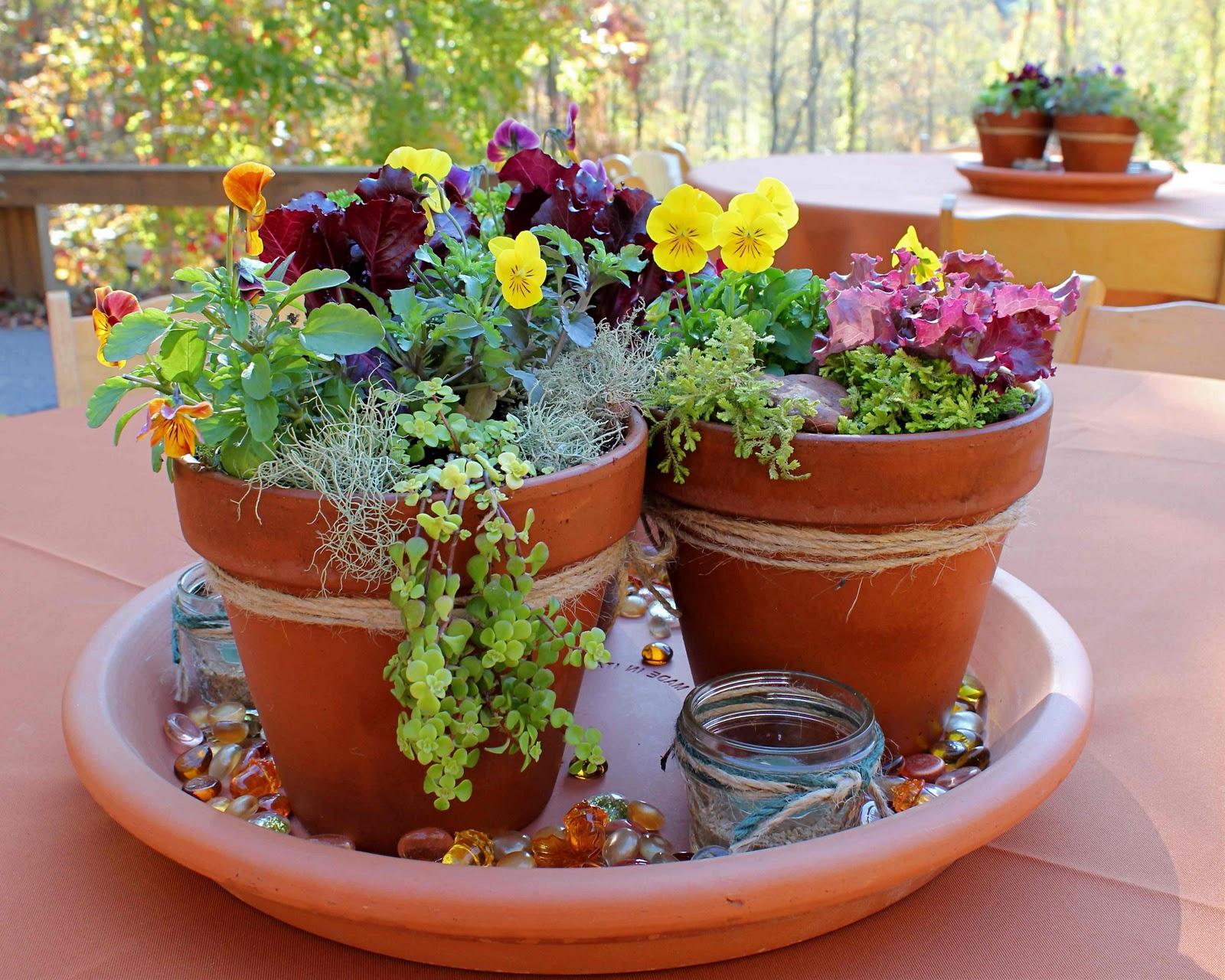 wedding backyard jar lights