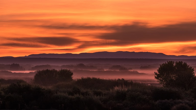 Bosque Sunrise