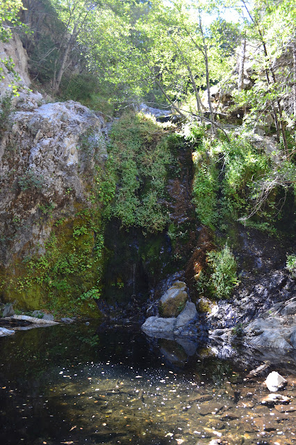 mossy rocks with a dribble of water coming over them