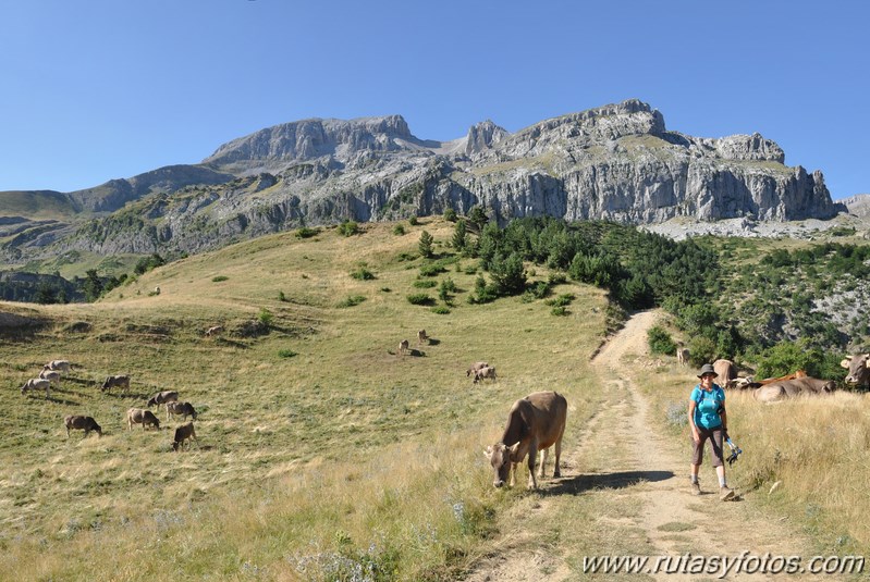 Pico Bisaurin desde Lizara