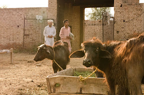 Village life in Punjab.