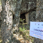 Cau de Carboner.