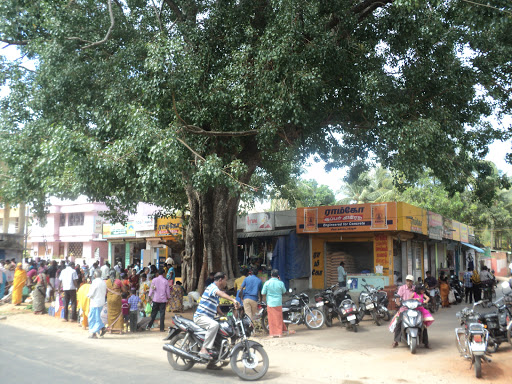 Irulappapuram Fish Market, Kalai Nagar Rd, Pavalar Nagar, Nagercoil, Tamil Nadu 629002, India, Market, state TN