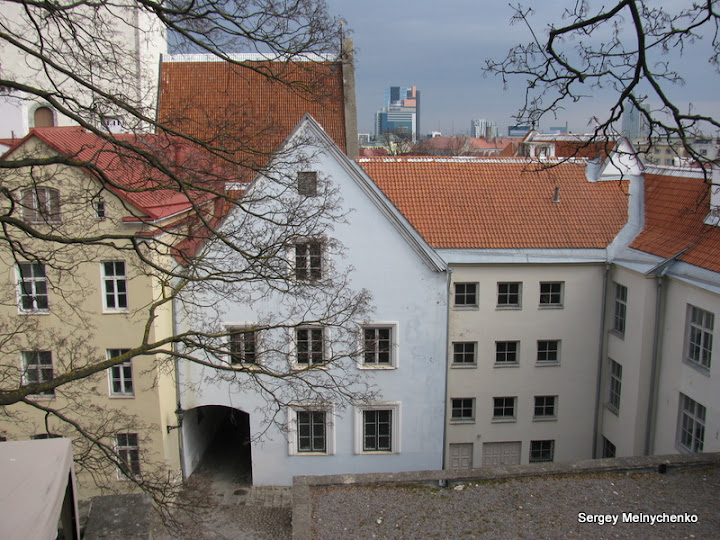 Четыре часа по улицам старого Таллина… (Фото)