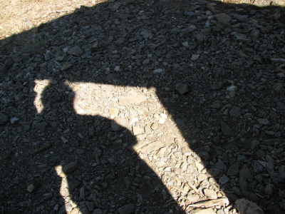 the shadow of someone in a cabin doorway that has no roof, so the sun streams through