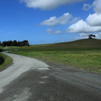 Colline Bibbonesi di 