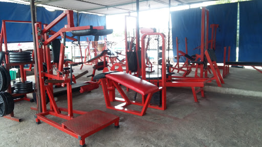 Iron Gym, Angel Estrada Loyo 1101, Centro, 95400 Cosamaloapan, México, Programa de salud y bienestar | VER