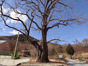 배부른산