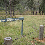 Track head for Polblue swamp walk