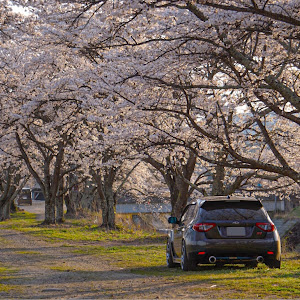 インプレッサ WRX STI GRB