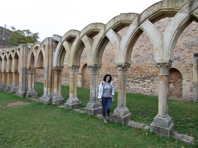 Los colores del otoño por tierras del Duero: Soria y alrededores con niños - Blogs de España - Soria y Calatañazor (2)