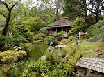 That pavilion is where you get to drink tea and eat snacks