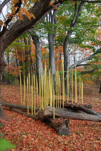 Chihuly - From Fall Color Weekend Getaway: Meijer Gardens & Sculpture Park