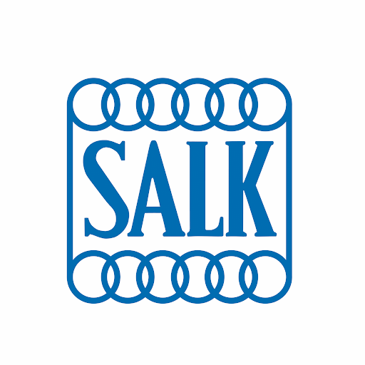 Salk Tennisklubb Stockholm logo