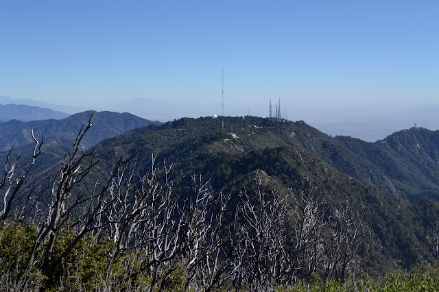 Mount Wilson