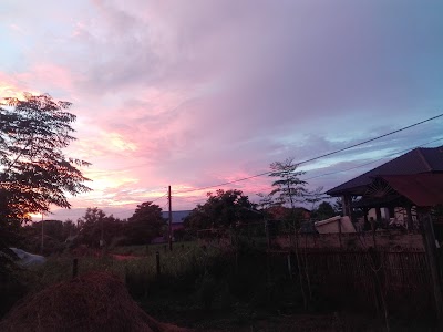 Photos of TVLAO
