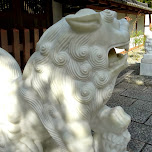 lions statues at the Kotoku gate in Kamakura, Japan 