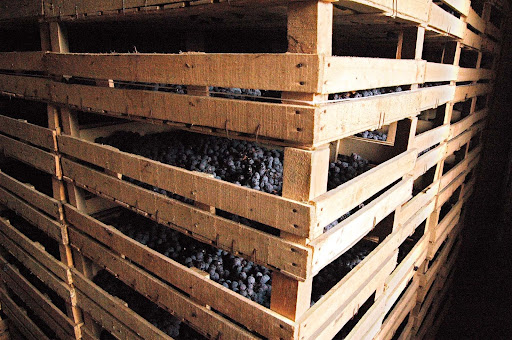 Immagine principale di AZIENDA AGRICOLA NOVAIA (Valpolicella, Amarone, Valpolicella Classica)