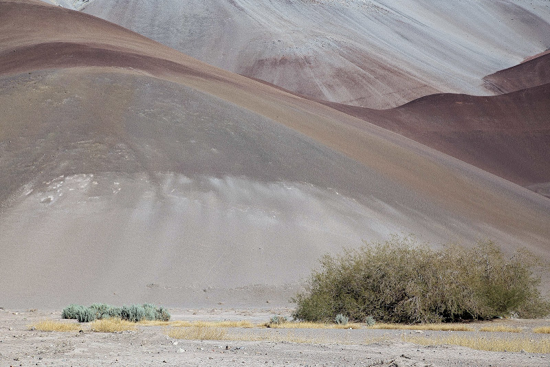 III REGION ATACAMA: COPIAPÓ / RUTA DE LOS SEISMILES - CHILE Y BOLIVIA POR CARRETERA: DE SANTIAGO AL SALAR DE UYUNI (7)