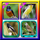 Download 101+ Kicau Burung Mania For PC Windows and Mac 1.0