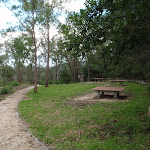 Apple Tree Flat picnic area (117952)