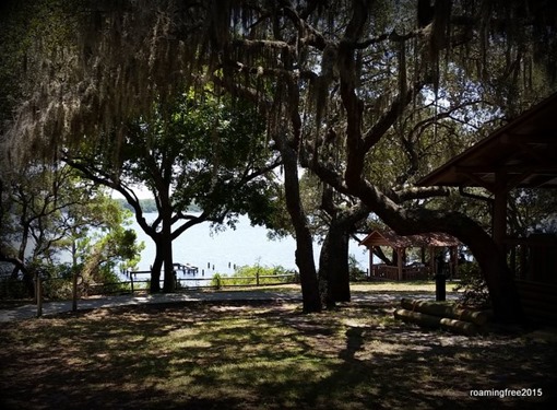 Overlooking the lake and the old dock