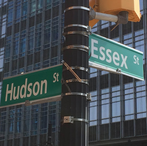 Hudson-Essex Allergy