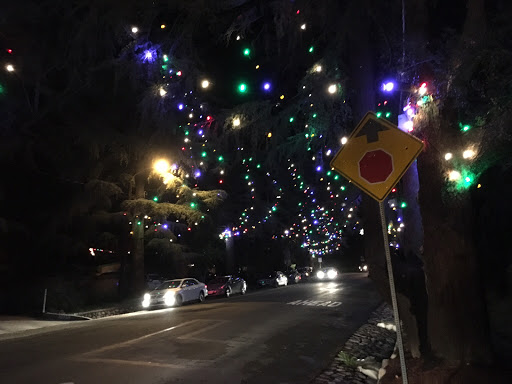 Tourist Attraction «Christmas Tree Lane», reviews and photos, Santa Rosa Ave, Altadena, CA 91001, USA