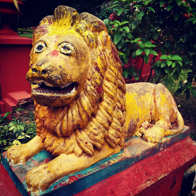 Bangalore,Lion