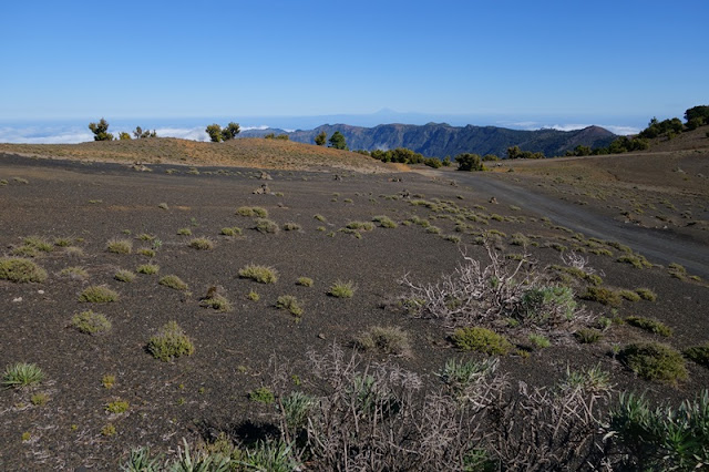 4 días en El Hierro (Canarias). Una isla vertiginosa y espectacular. 1ª parte. - De viaje por España (35)