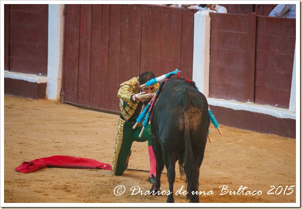 Toros Feria 2015-0017