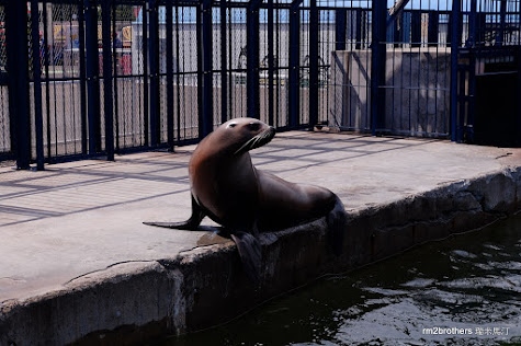 室蘭水族館