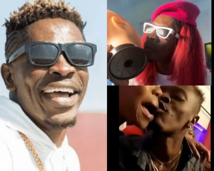 Shatta Wale on how to kiss properly in latest video; Mocks his critics as he continues to teach his fans.