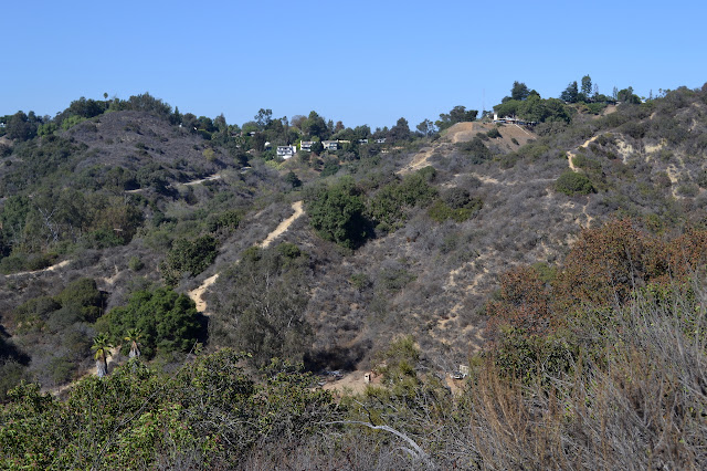 dirt tracks all over the hills