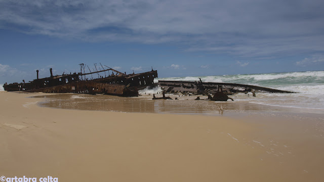 ROAD TRIP Y FRASER ISLAND - AUSTRALIA: UNA AVENTURA DE CONTRASTES (10)